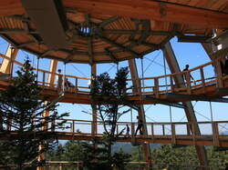 Innenansicht des spiralförmigen Aussichtsturms am Baumwipfelpfad im Nationalpark Bayerischer Wald mit Besuchern und Bäumen im Zentrum.