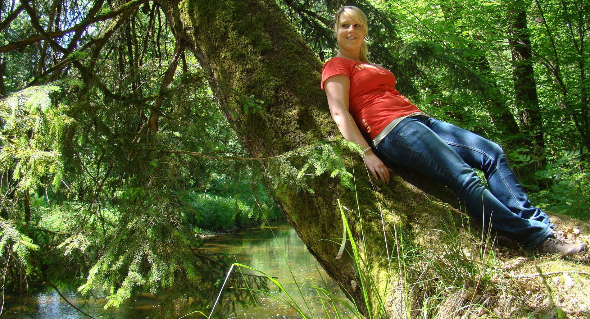 Wandern - Gasthof zum Sonnenwald Schöfweg Wanderwege Bayerischer Wald